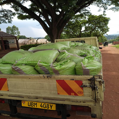 Black Soldier Fly Farming: Turning Waste into Sustainable Value - Image 2