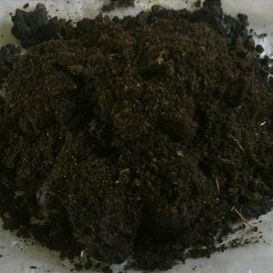 BSF Organic Fertilizer(1kg)
