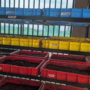 The Agape BSF Garden Unit