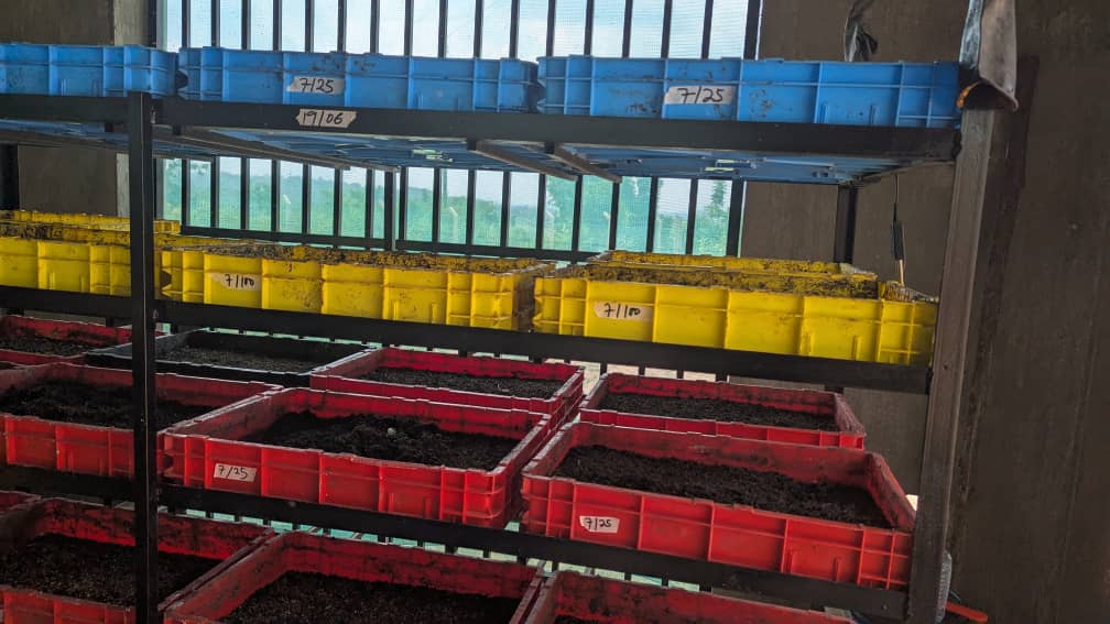 The Agape BSF Garden Unit